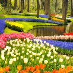 keukenhof